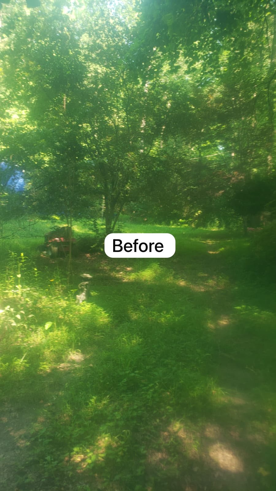 Weed trimming project photograph 6